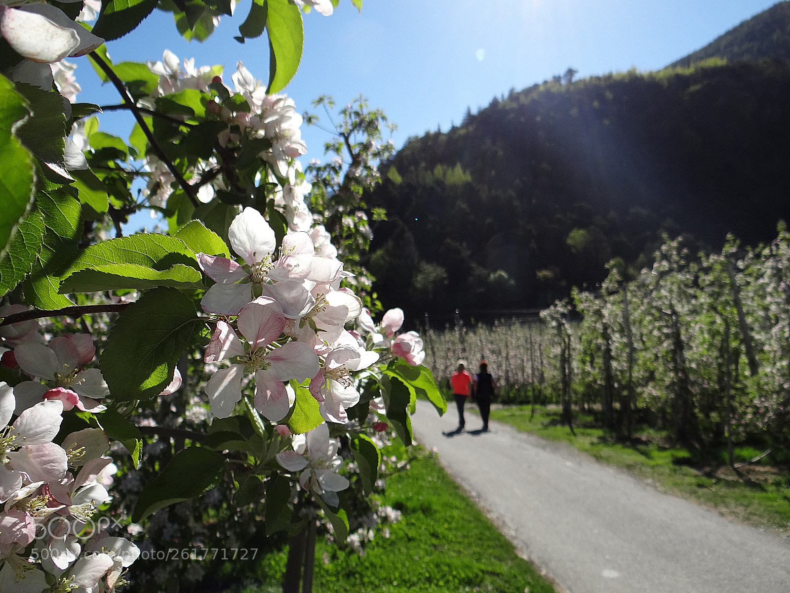 Sony DSC-HX200V sample photo. Im südtirol part 1 photography