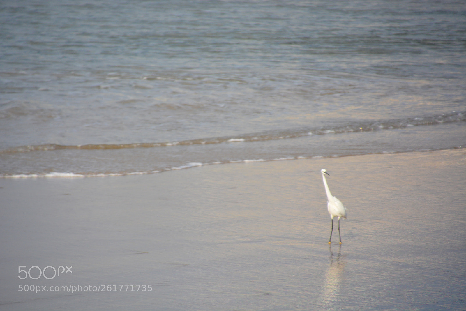 Nikon D7100 sample photo. Sharon beach - herzliya photography