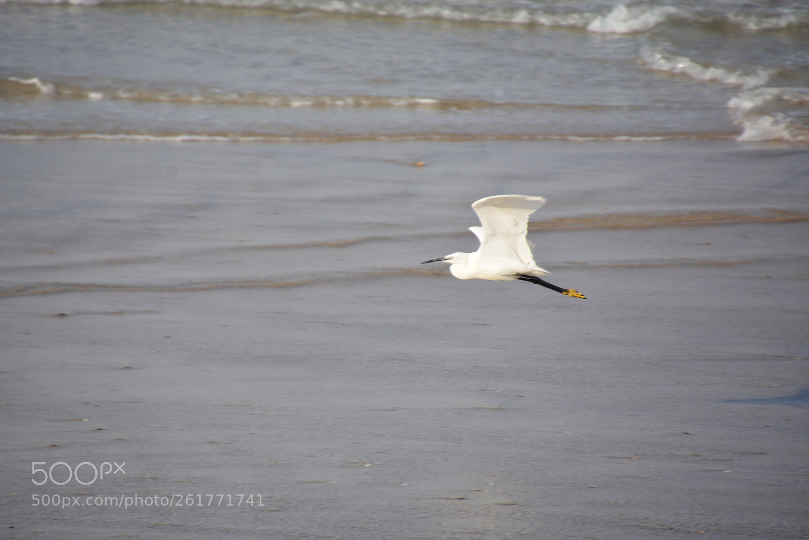 Nikon D7100 sample photo. Sharon beach - herzliya photography