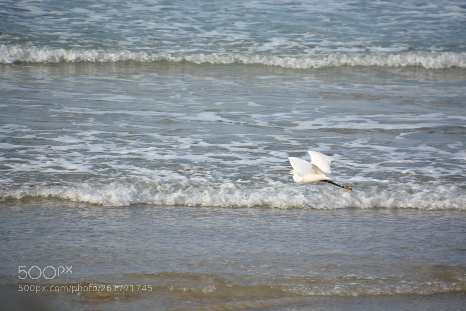 Nikon D7100 sample photo. Sharon beach - herzliya photography