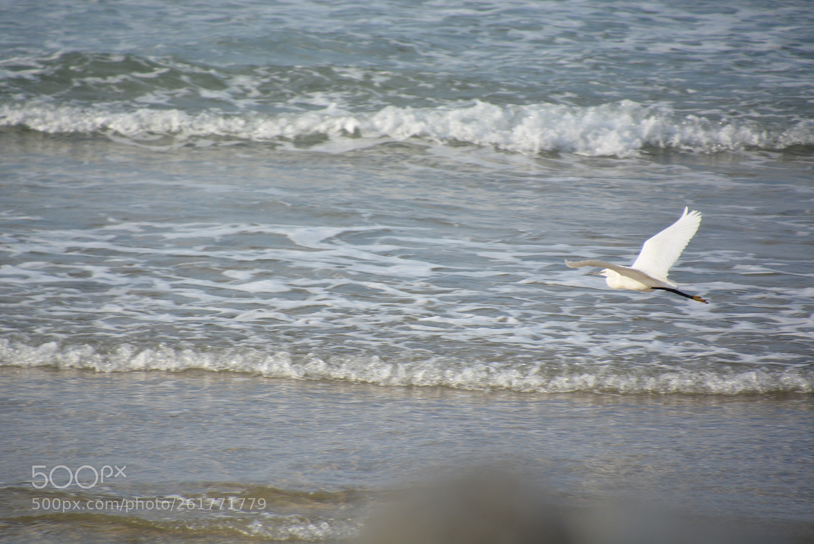 Nikon D7100 sample photo. Sharon beach - herzliya photography