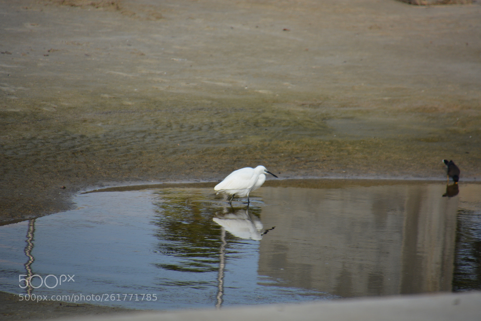Nikon D7100 sample photo. Sharon beach - herzliya photography