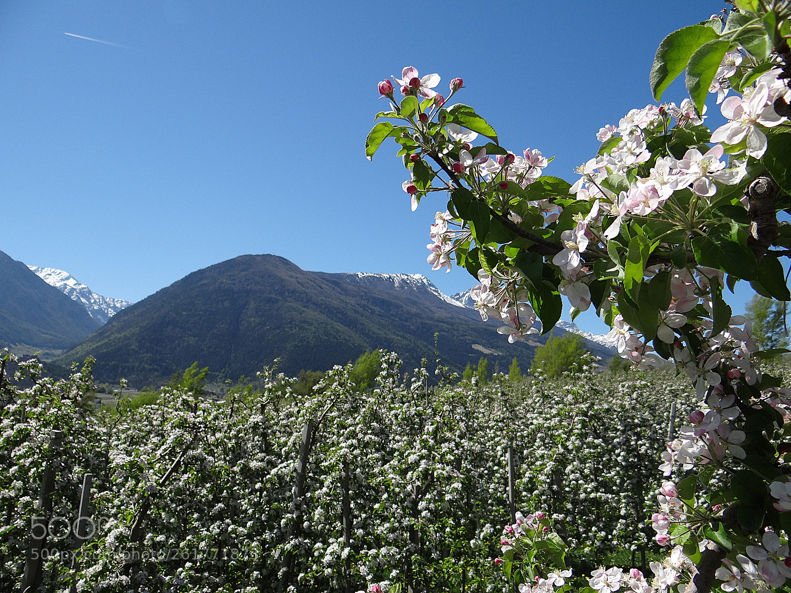 Sony DSC-HX200V sample photo. Im südtirol part 2 photography