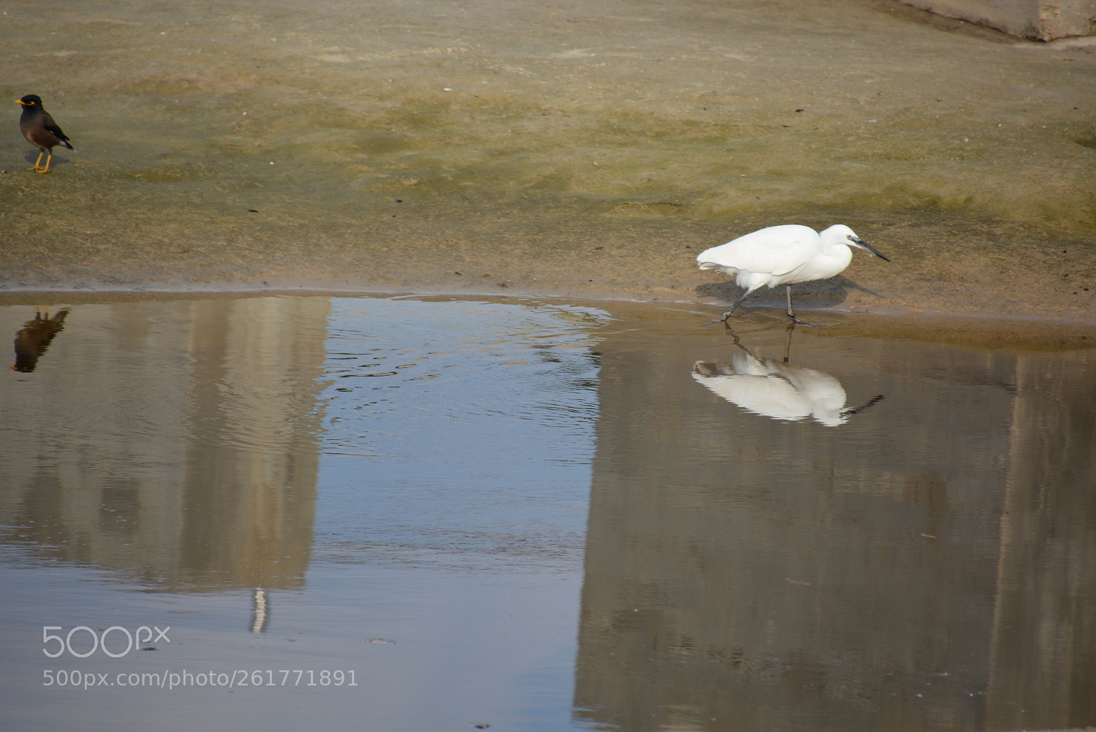 Nikon D7100 sample photo. Sharon beach - herzliya photography