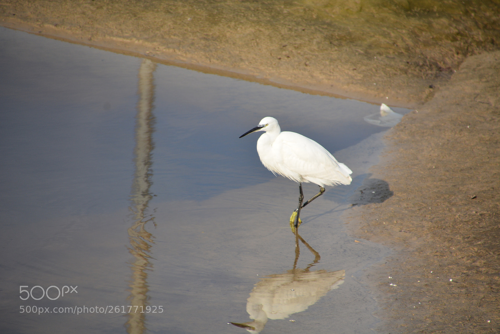 Nikon D7100 sample photo. Sharon beach - herzliya photography