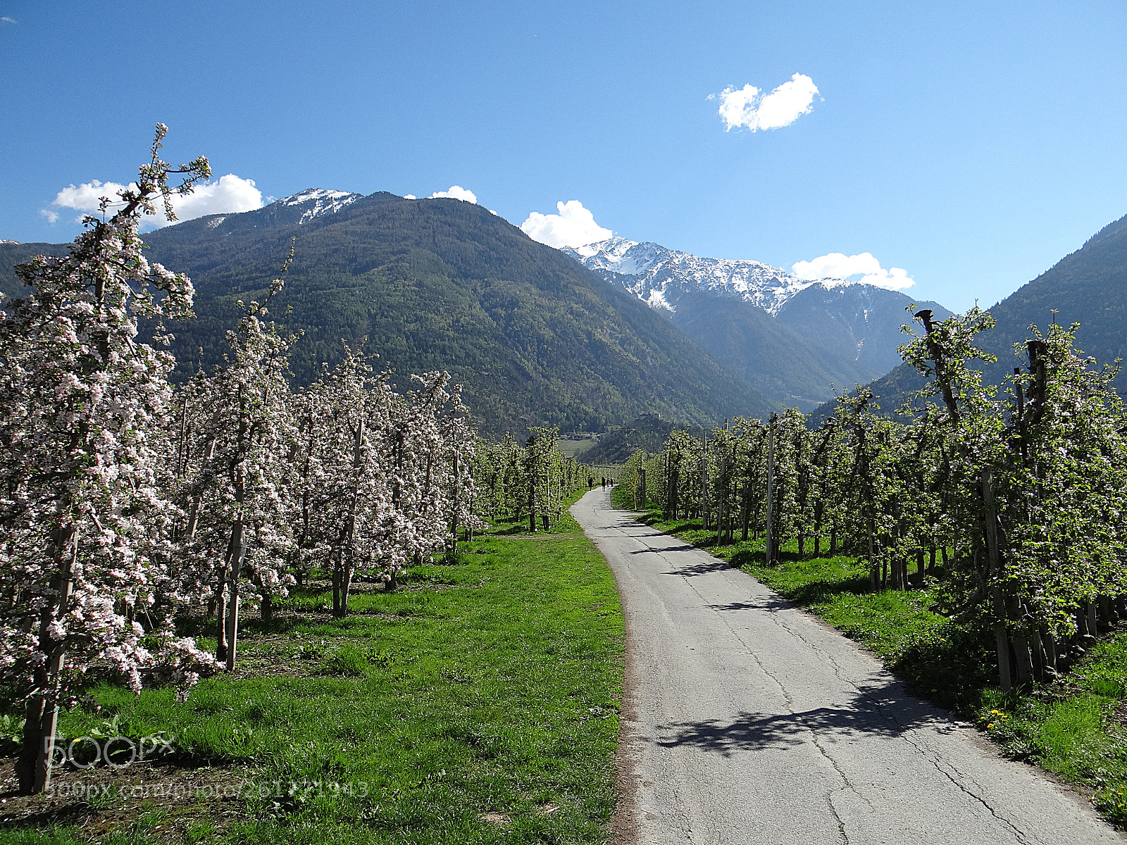 Sony DSC-HX200V sample photo. Im südtirol part 3 photography