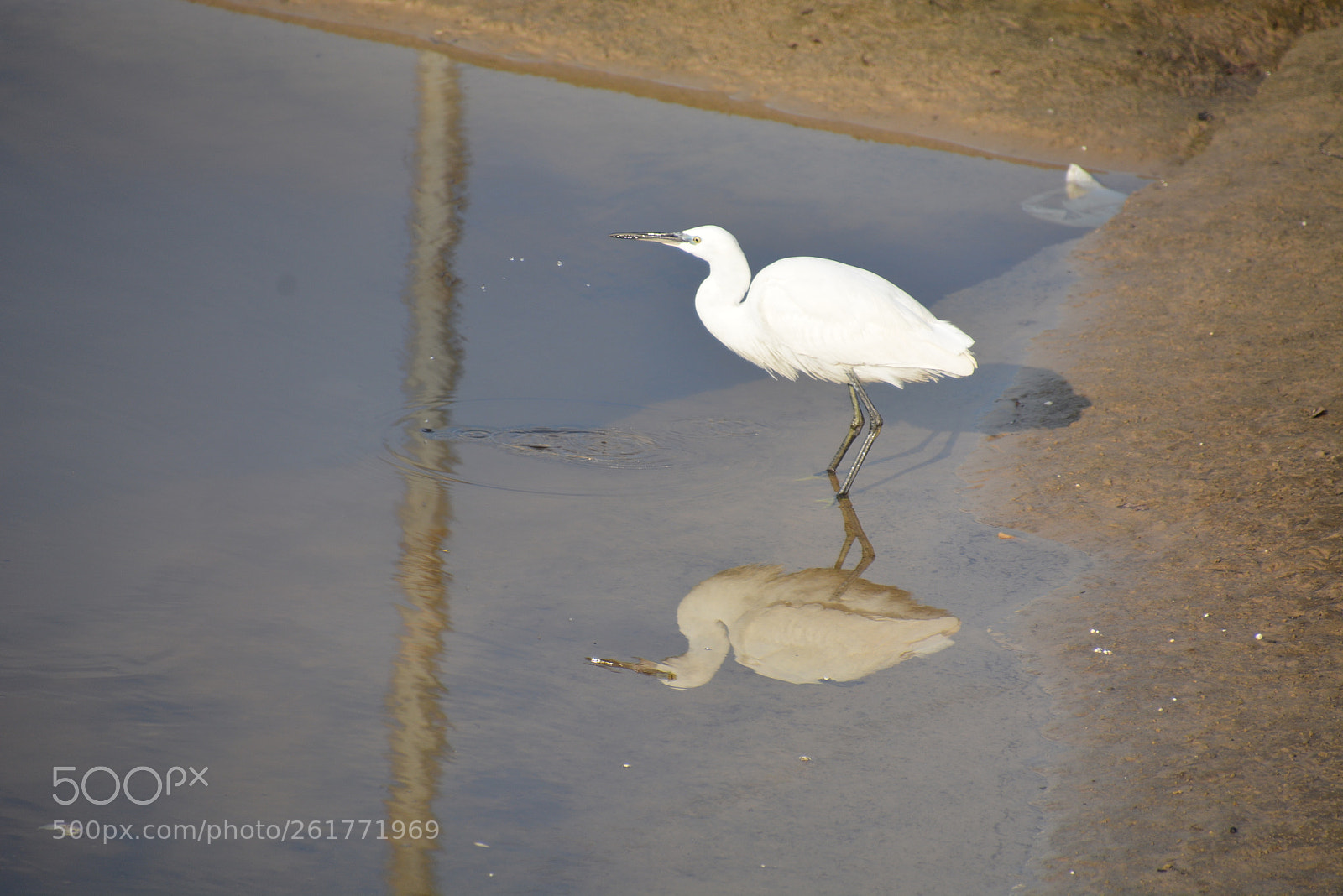 Nikon D7100 sample photo. Sharon beach - herzliya photography