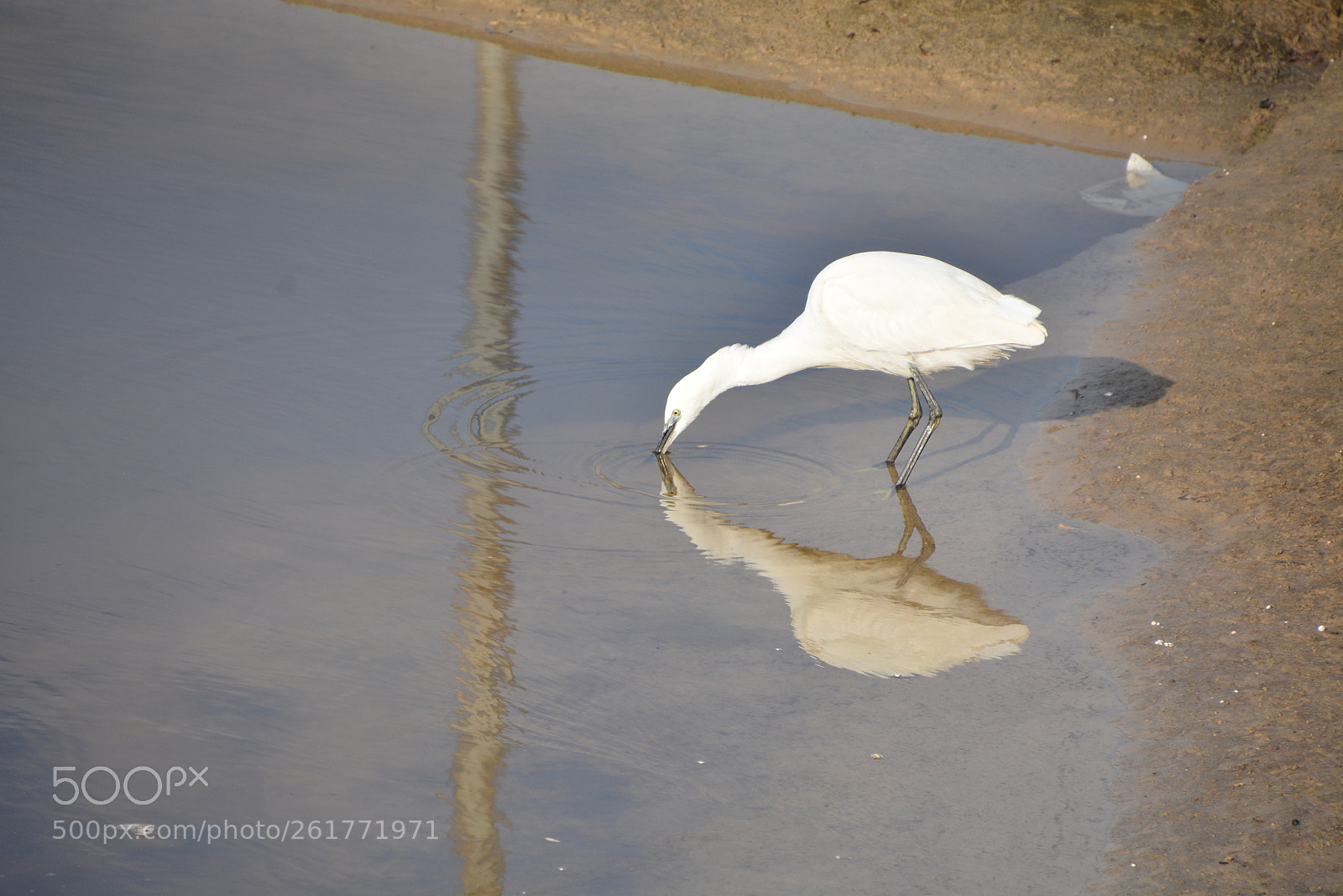 Nikon D7100 sample photo. Sharon beach - herzliya photography