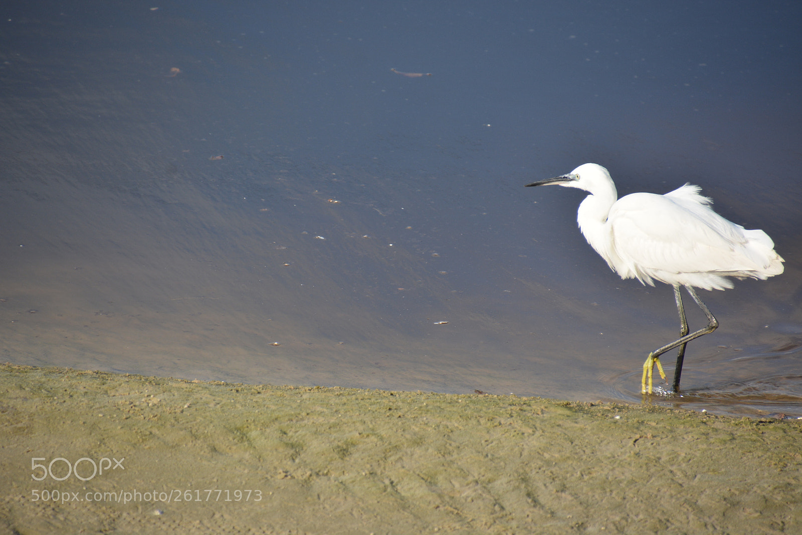 Nikon D7100 sample photo. Sharon beach - herzliya photography