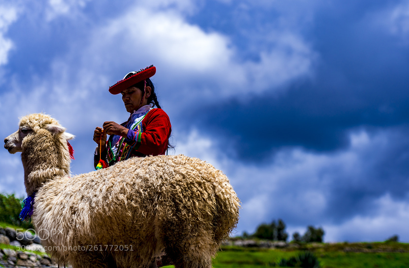 Sony a7R III sample photo. Llama decorated by powerful photography