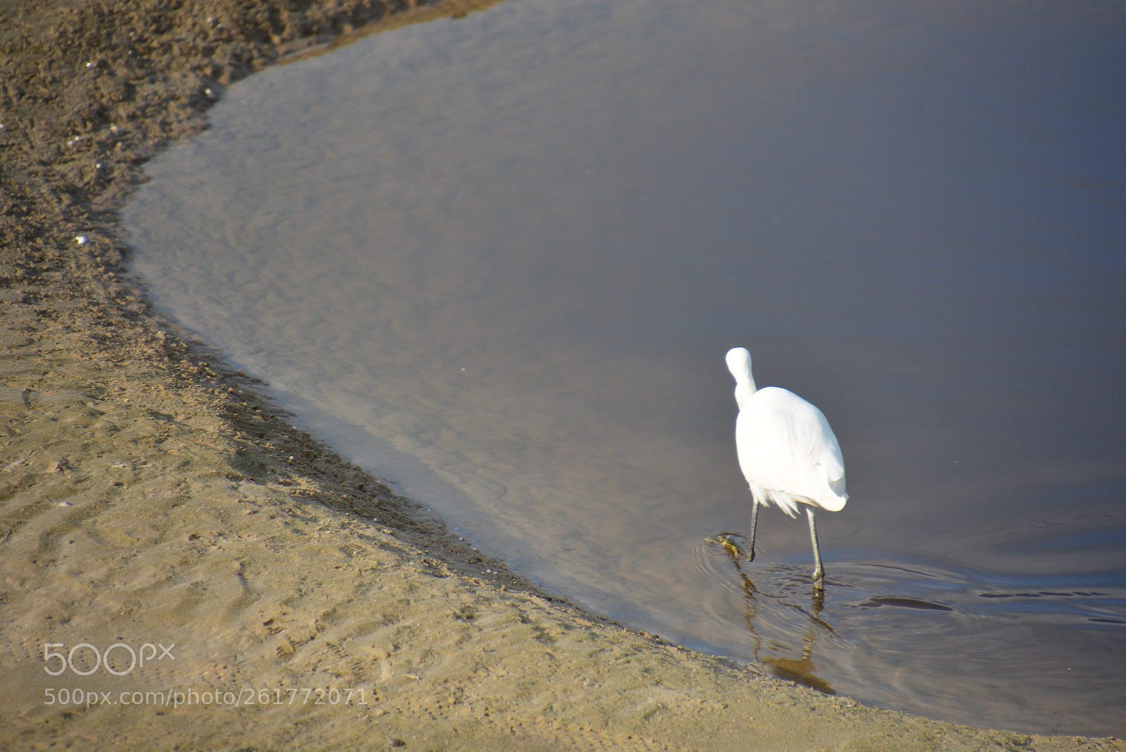 Nikon D7100 sample photo. Sharon beach - herzliya photography