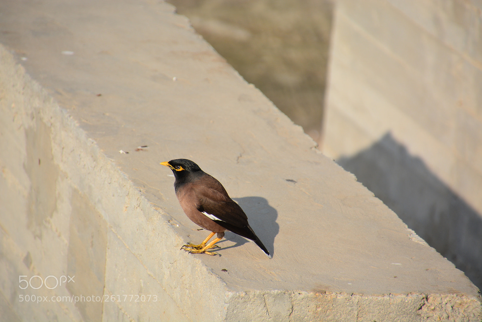 Nikon D7100 sample photo. Sharon beach - herzliya photography