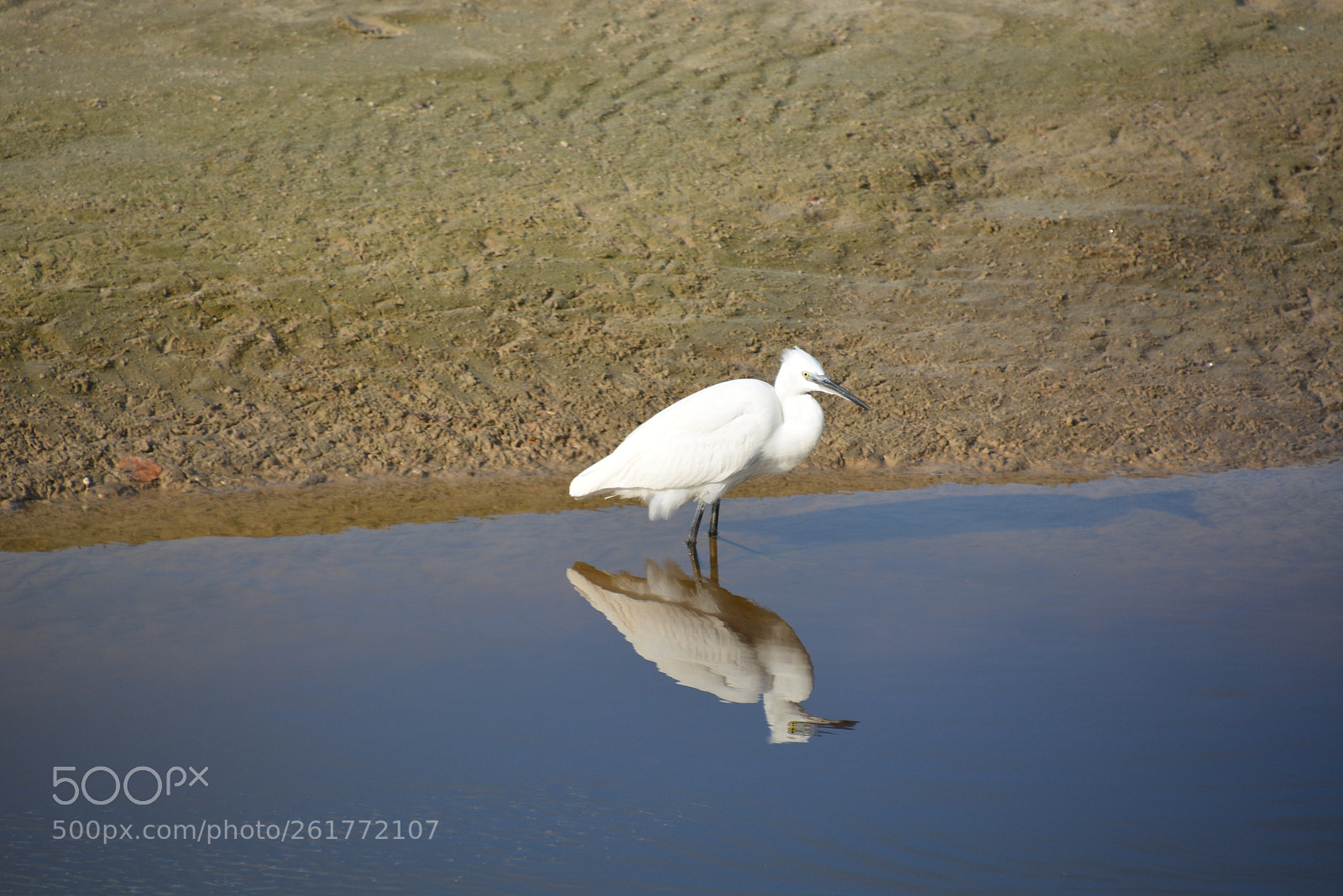 Nikon D7100 sample photo. Sharon beach - herzliya photography