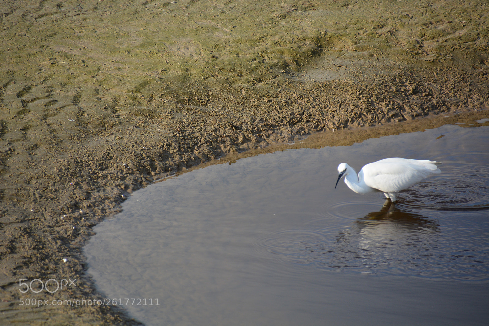 Nikon D7100 sample photo. Sharon beach - herzliya photography