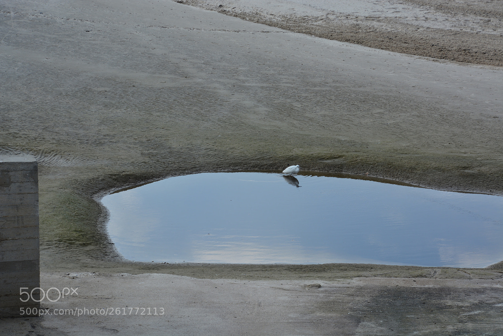 Nikon D7100 sample photo. Sharon beach - herzliya photography