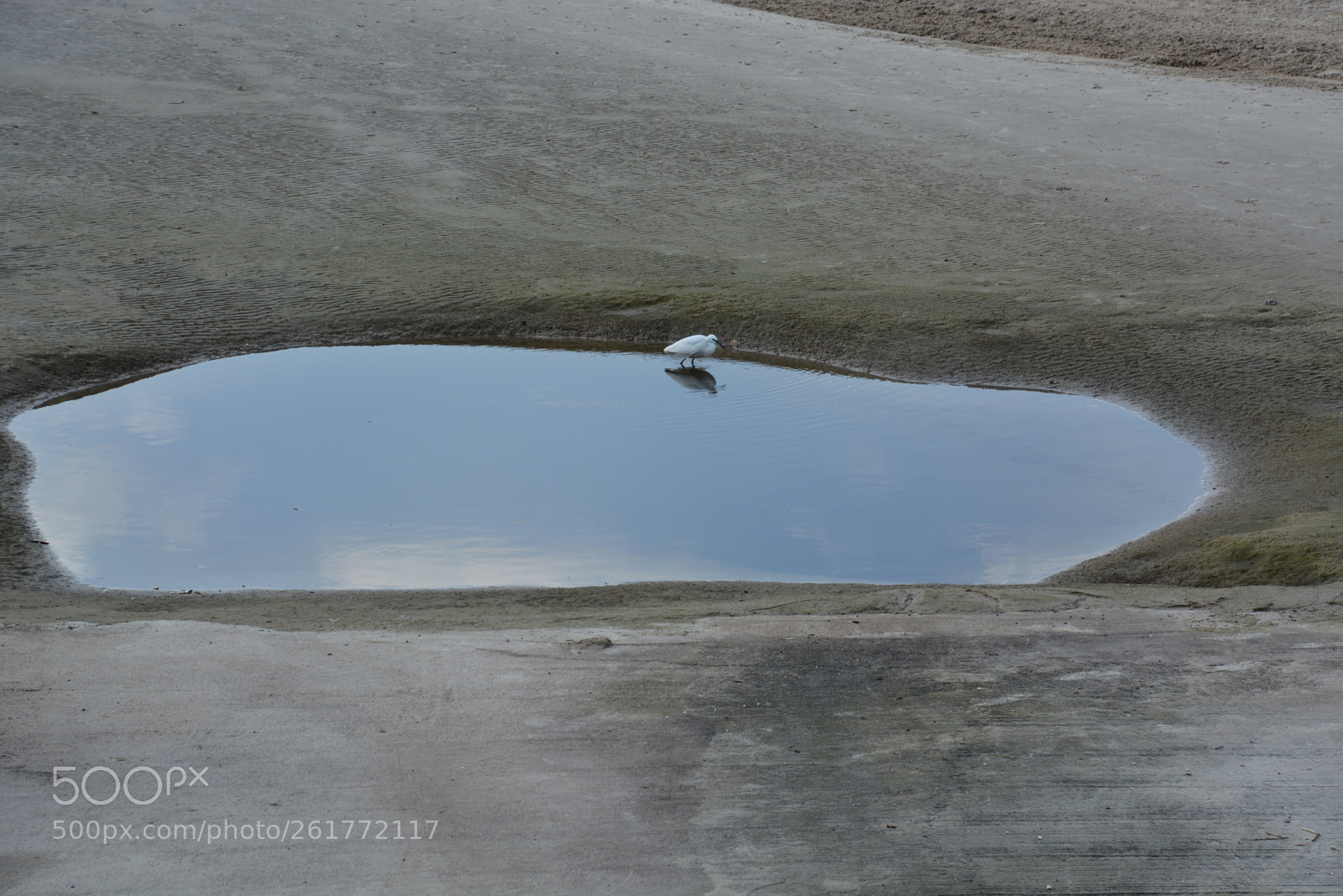 Nikon D7100 sample photo. Sharon beach - herzliya photography