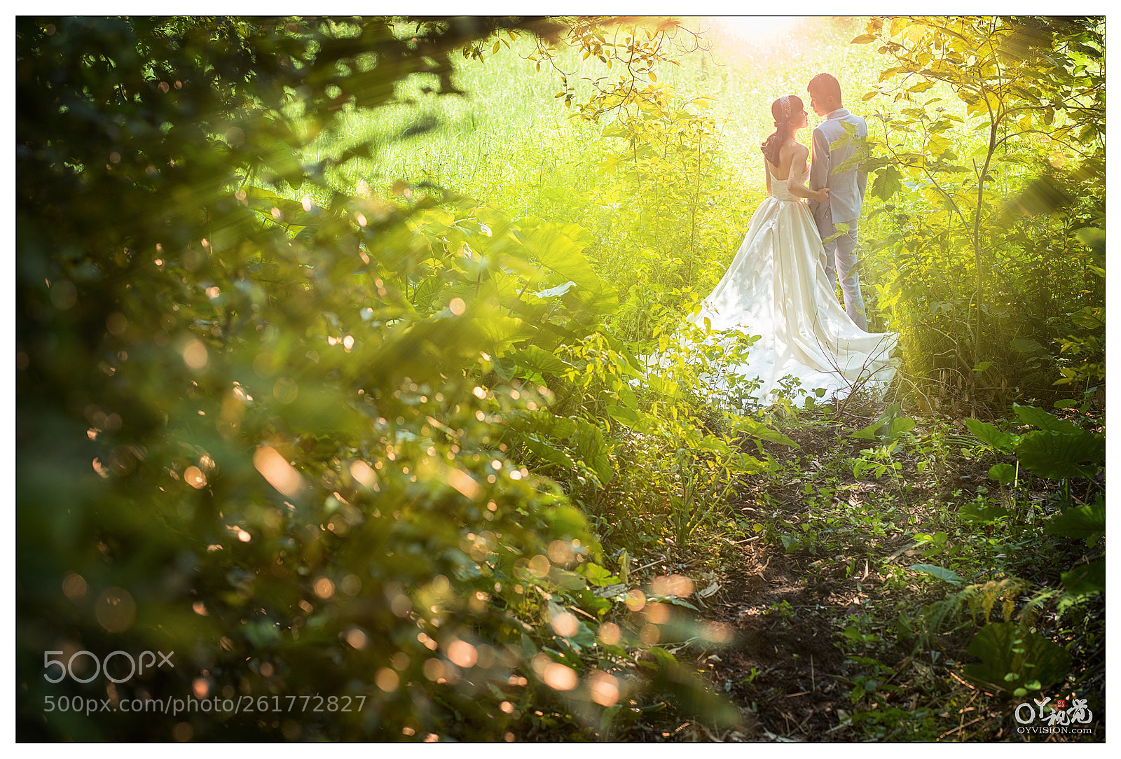 Nikon D810 sample photo. Untitled photography