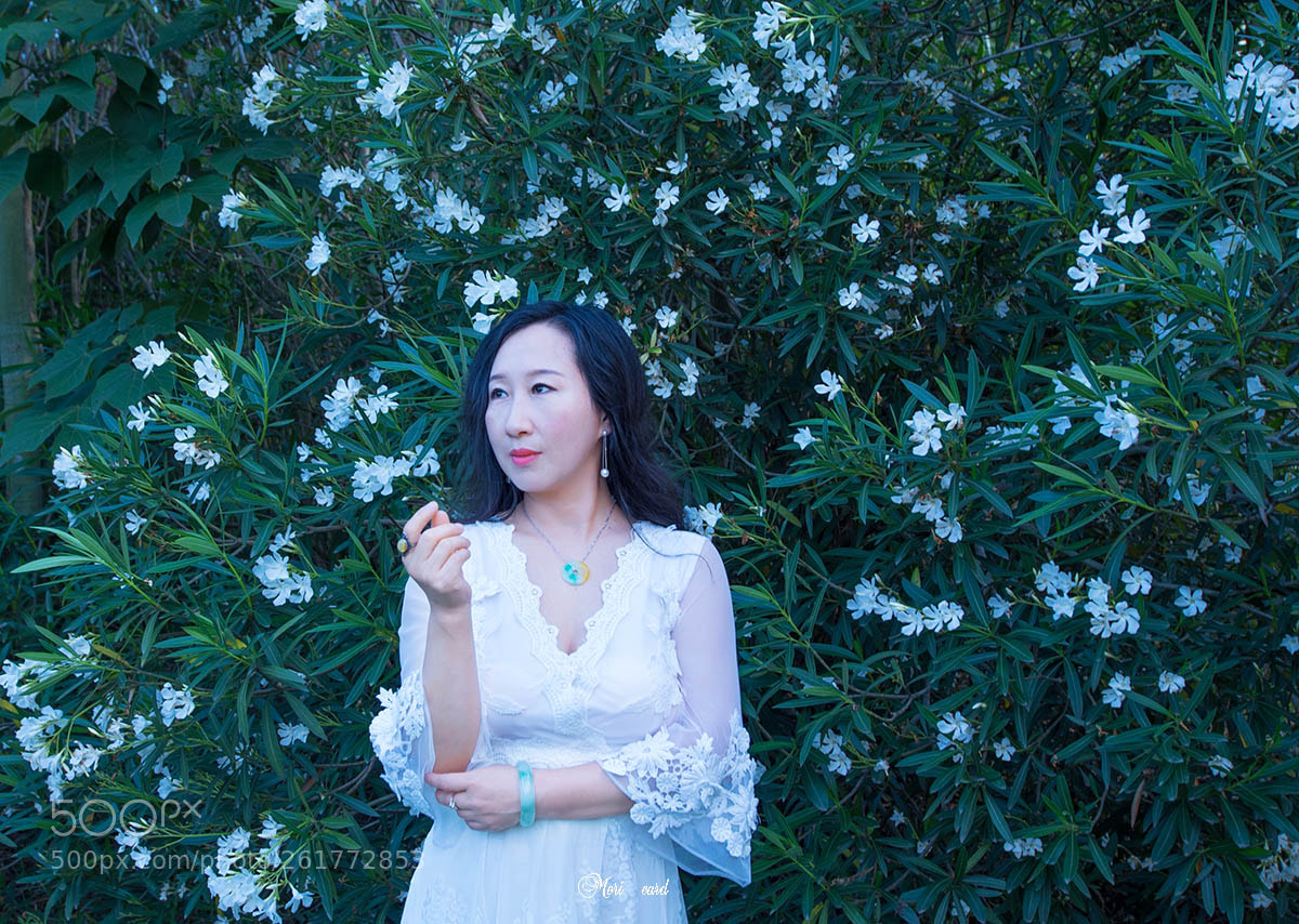 Nikon D750 sample photo. 1.jpg photography