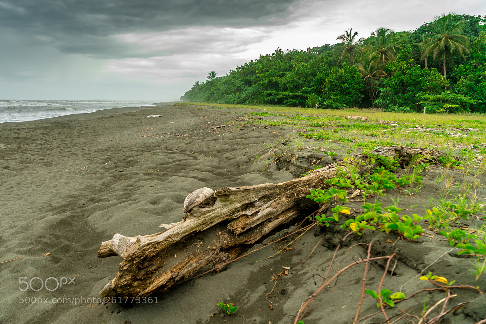 Sony a7R II sample photo. Reserva pacuare photography