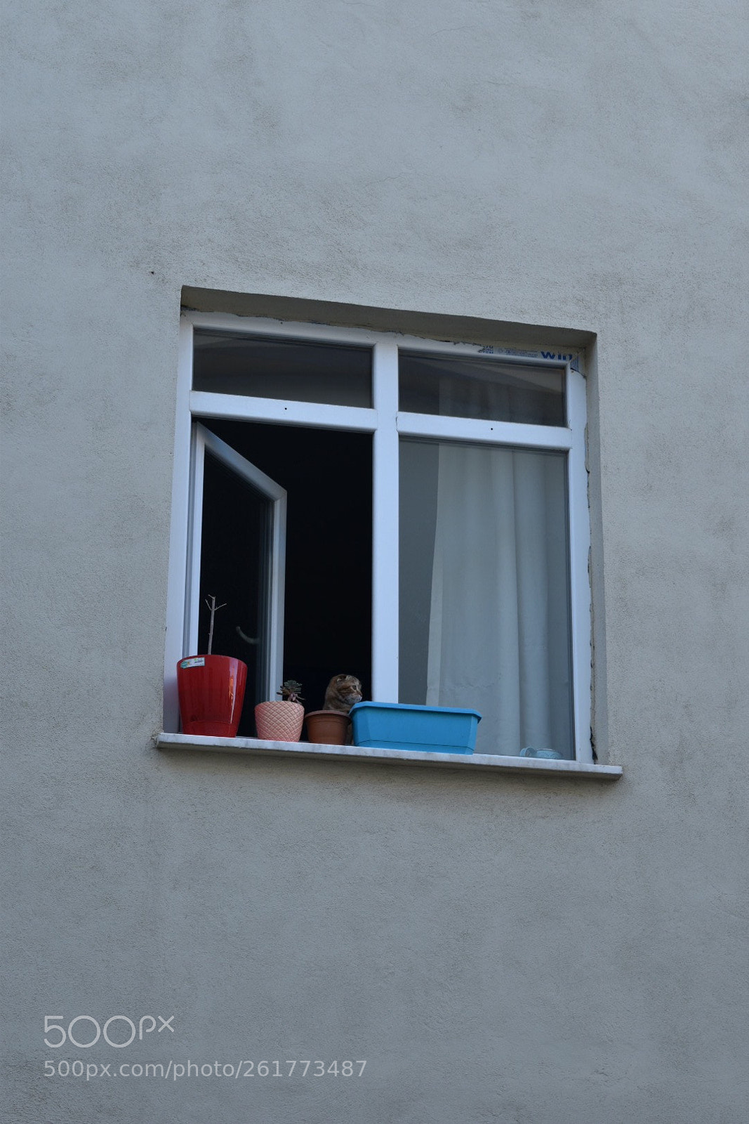 Nikon D5500 sample photo. Untitled photography