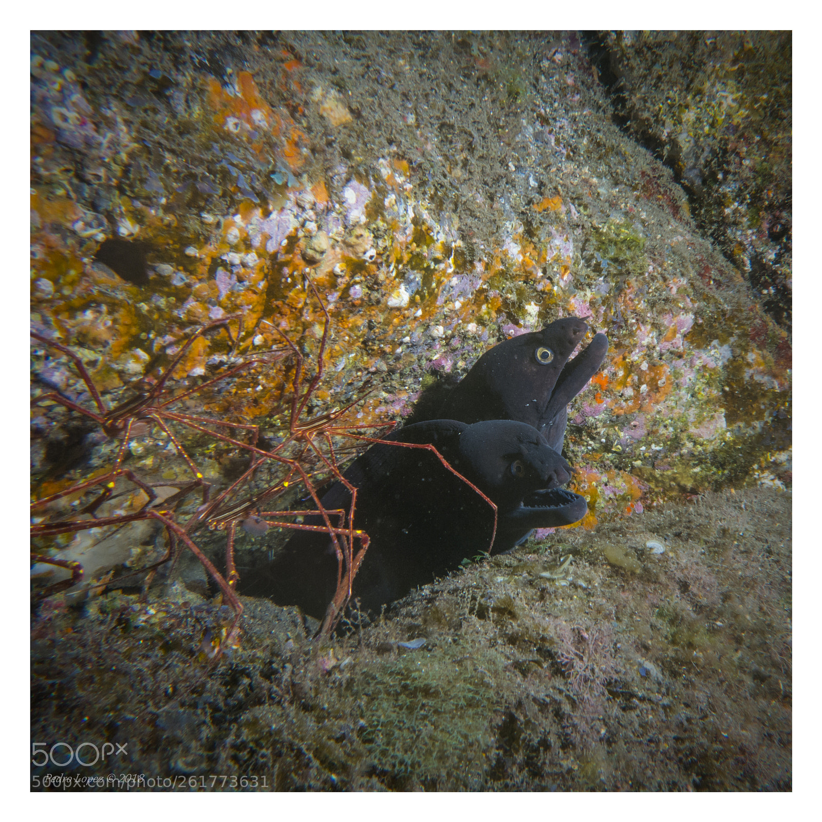 Canon PowerShot S110 sample photo. Pareja morenas photography