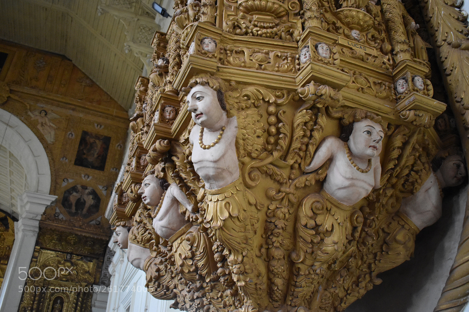 Nikon D5600 sample photo. Dsc photography