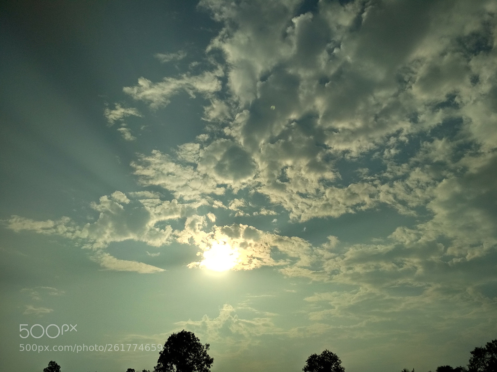 Xiaomi Redmi 4 Pro sample photo. Untitled photography