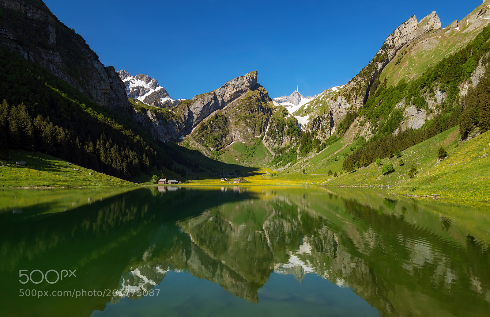 Olympus OM-D E-M1 Mark II sample photo. Seealpsee ii photography