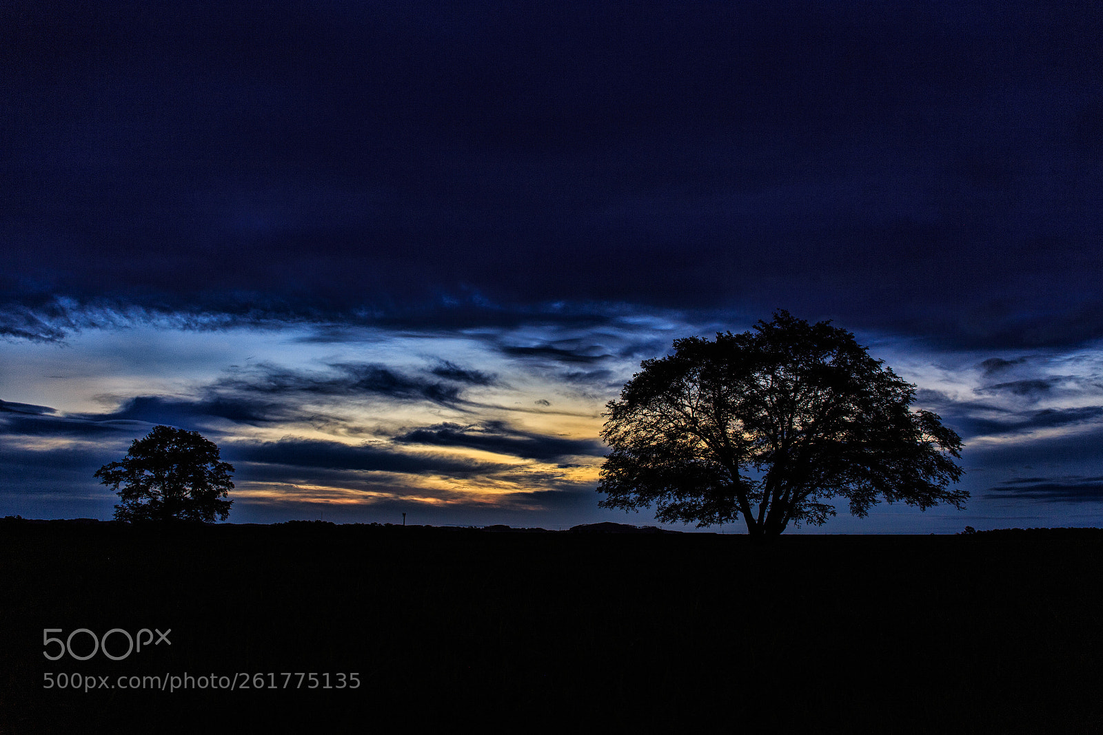 Canon EOS 6D sample photo. Silhouettes photography