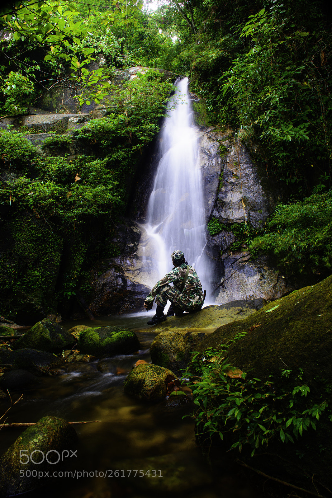 Nikon D7100 sample photo. The forest photography
