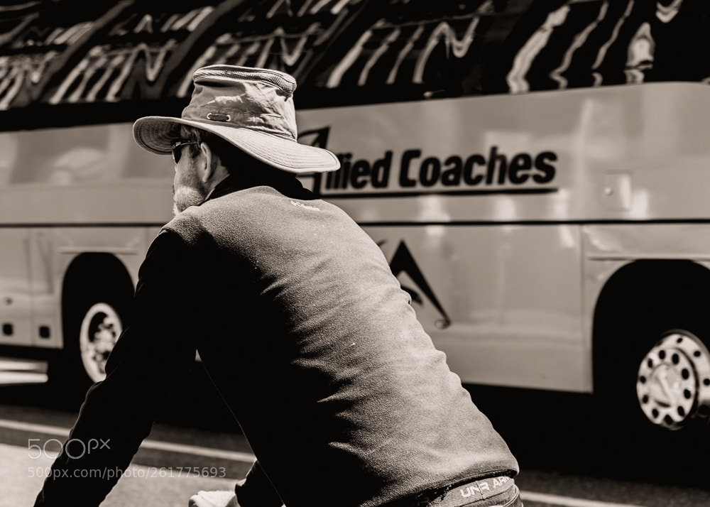 Nikon D5600 sample photo. Dublin june photography