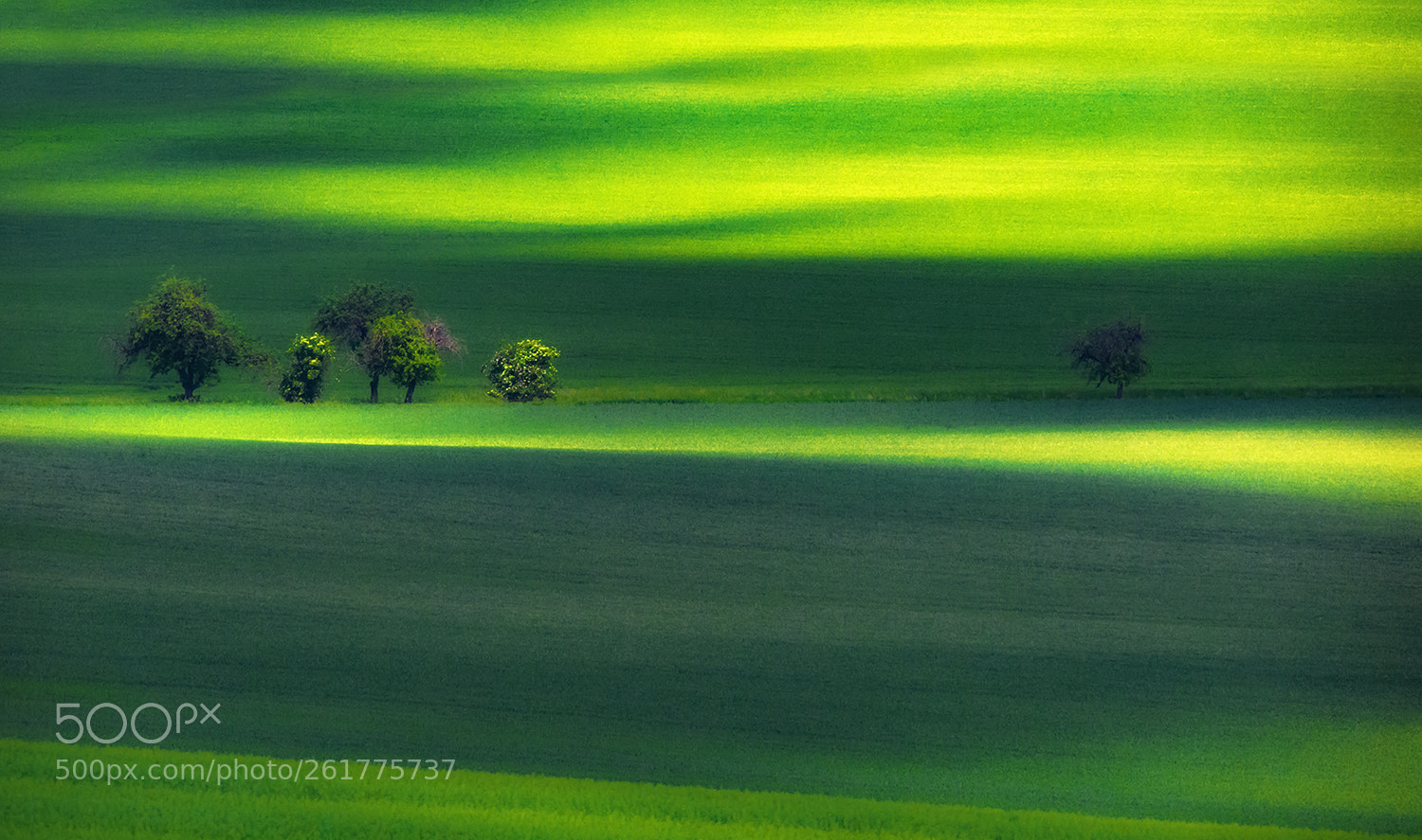 Nikon D610 sample photo. Moravia lights photography
