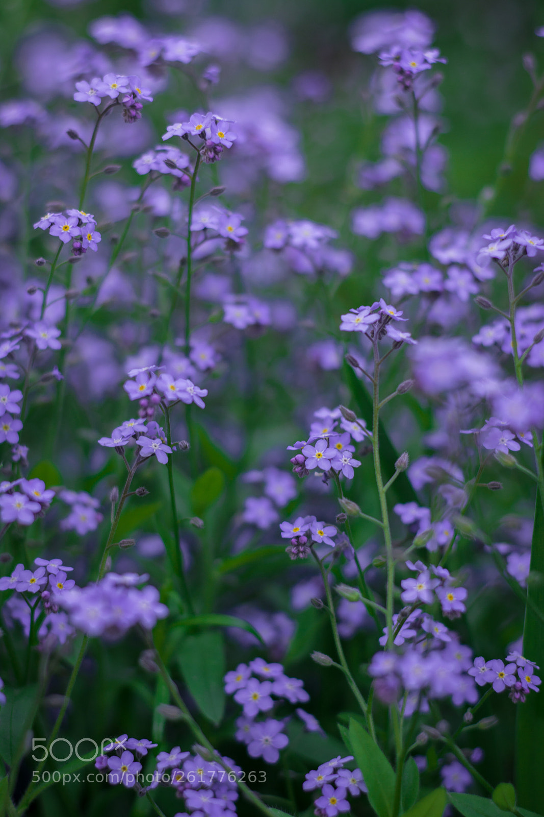 Nikon D5200 sample photo. Untitled photography