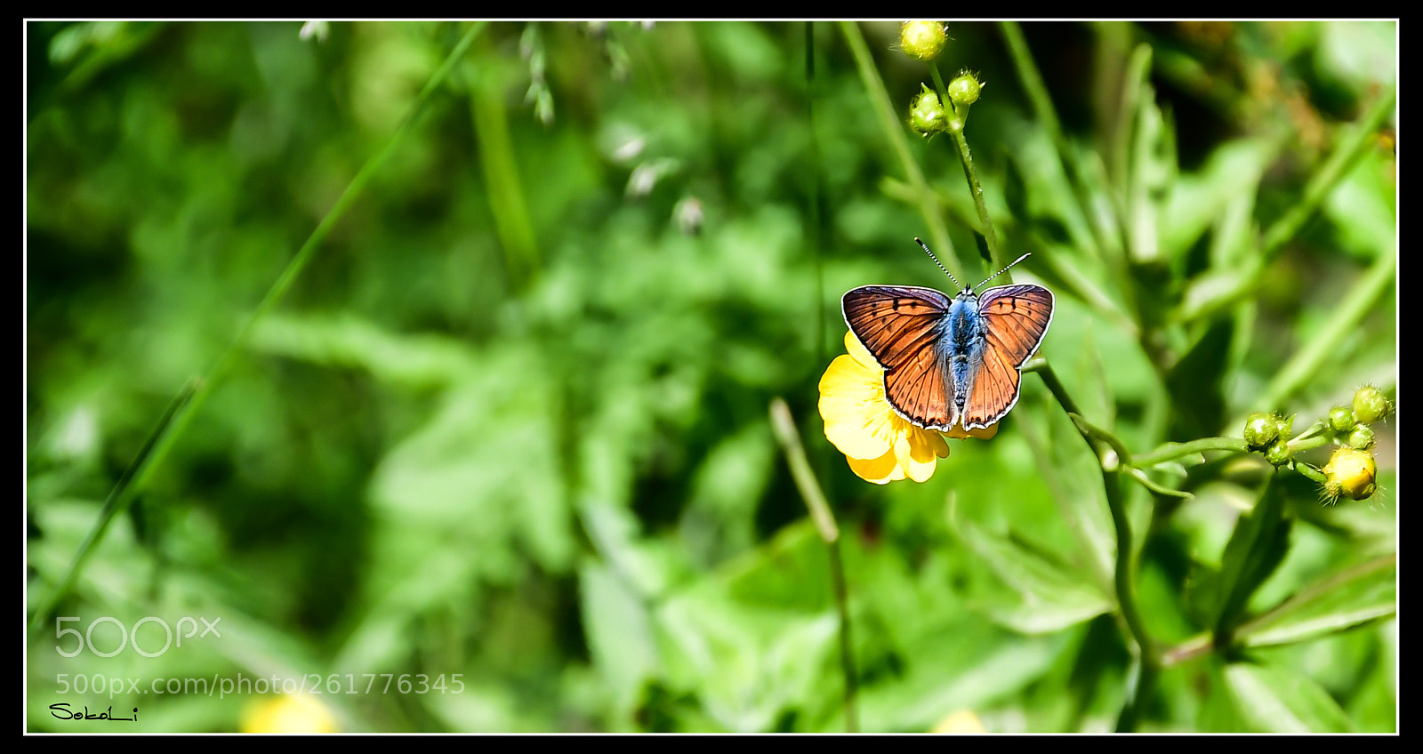 Nikon D7500 sample photo. Dsc photography