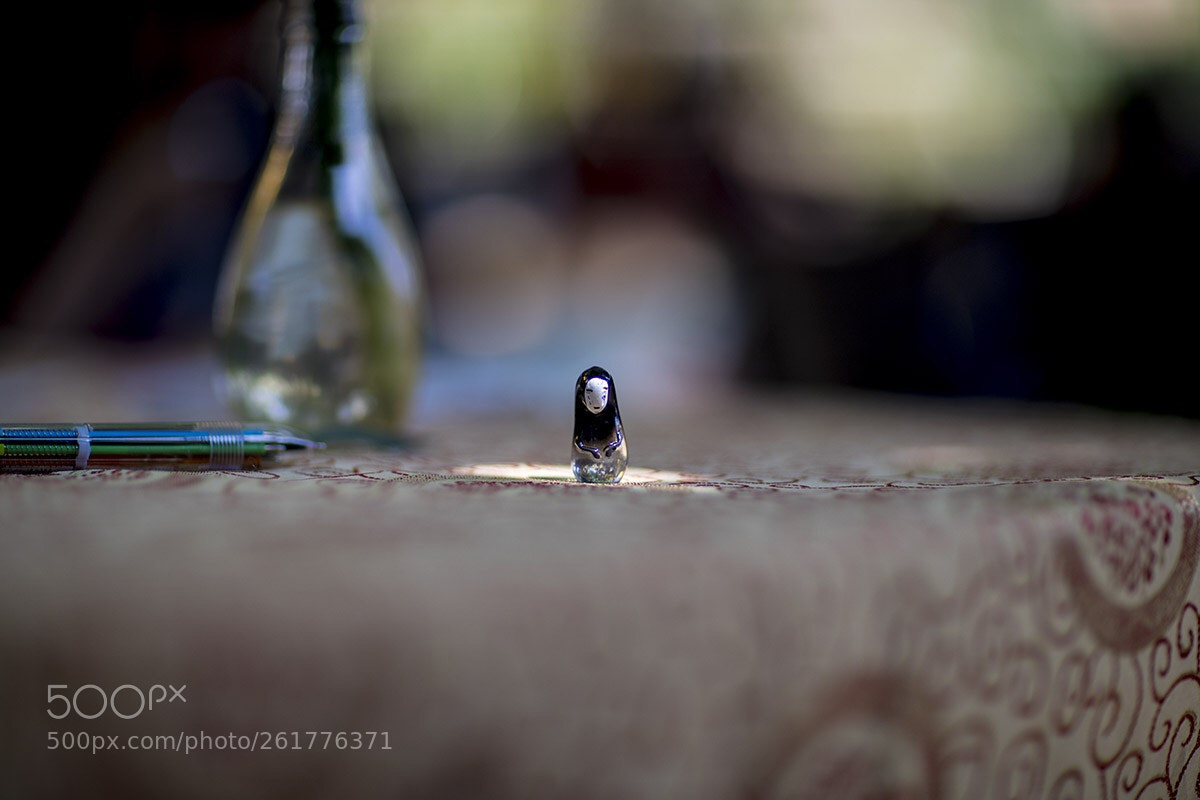 Canon EOS 5D Mark IV sample photo. Untitled photography