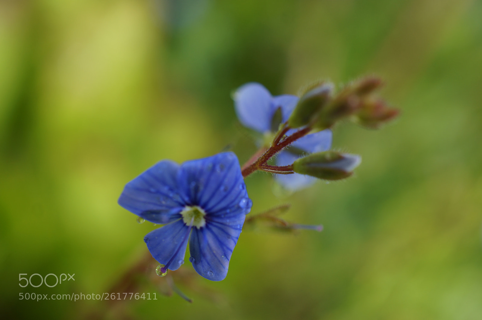 Sony Alpha NEX-6 sample photo. Untitled photography