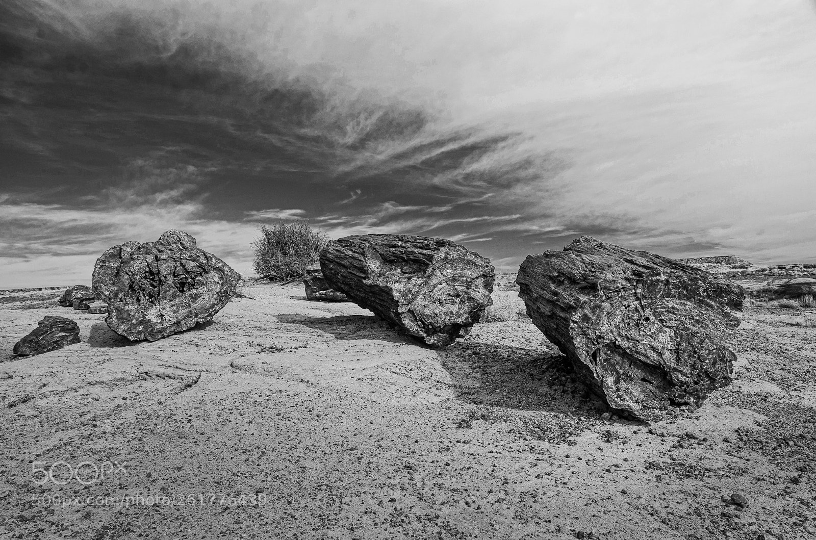 Nikon D7000 sample photo. Rock logs photography