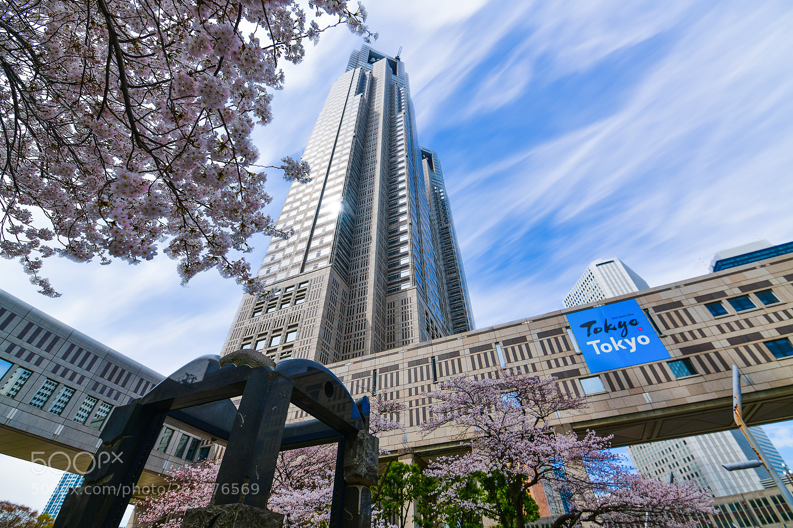 Nikon D850 sample photo. Tokyo sakura scene photography