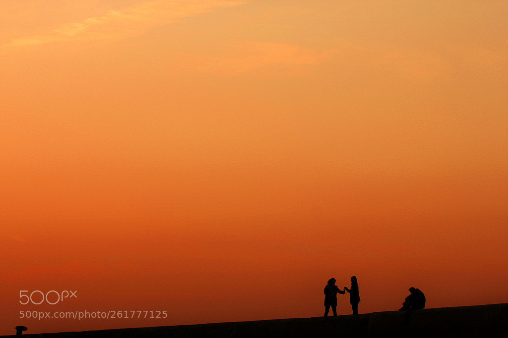 Canon EOS 60D sample photo. Untitled photography