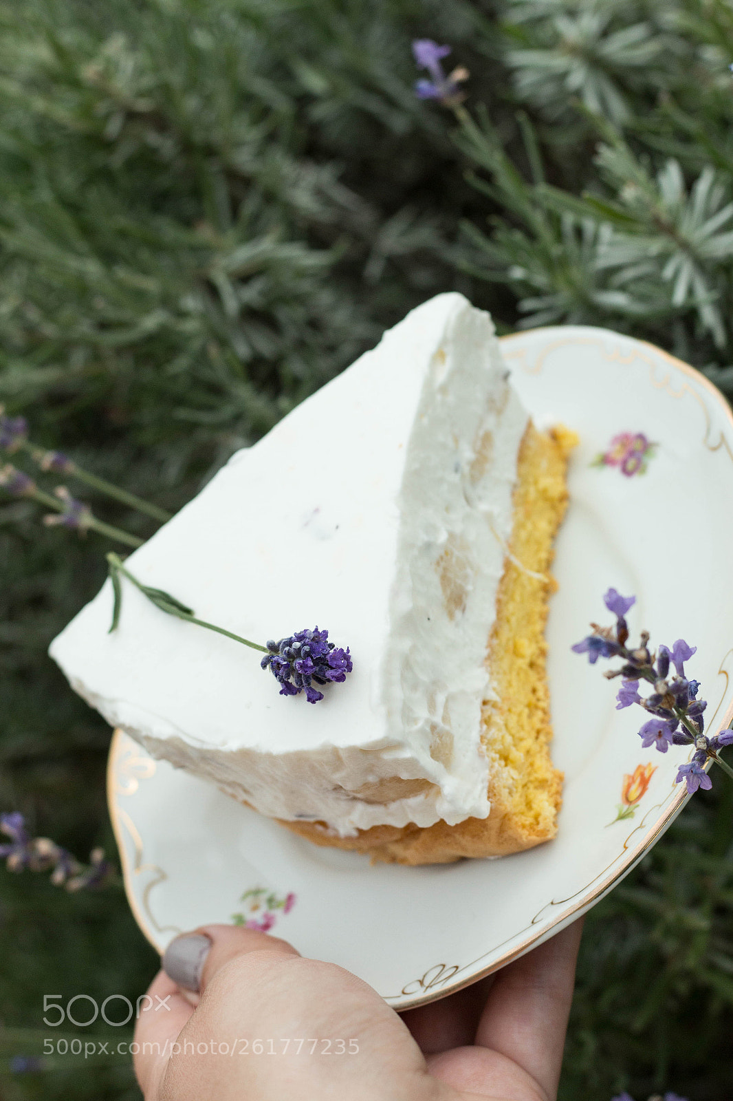 Canon EOS 70D sample photo. Lavender greek yogurt cake :) photography