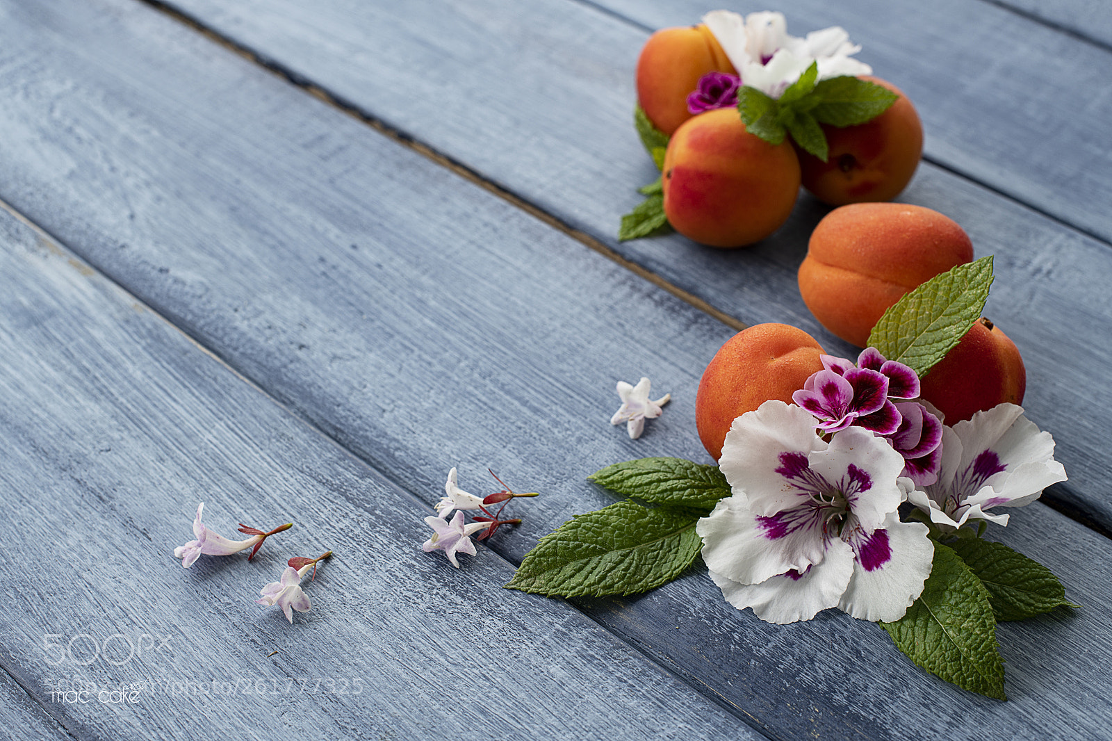 Nikon D850 sample photo. Apricots  photography