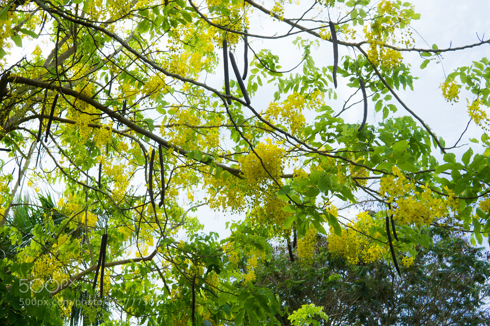 Sony a6000 sample photo. Dsc photography