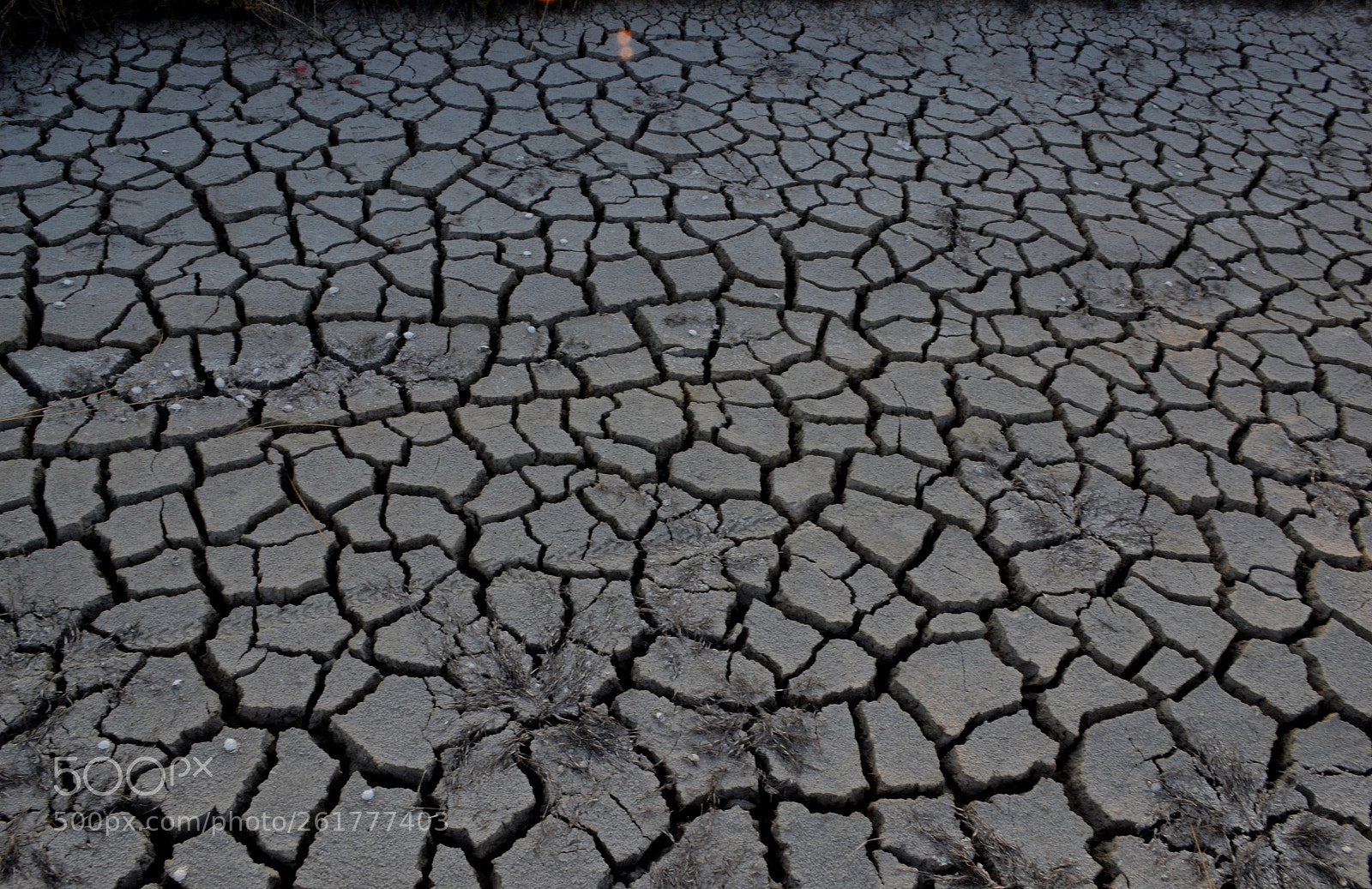 Nikon D3100 sample photo. Cracked lands photography