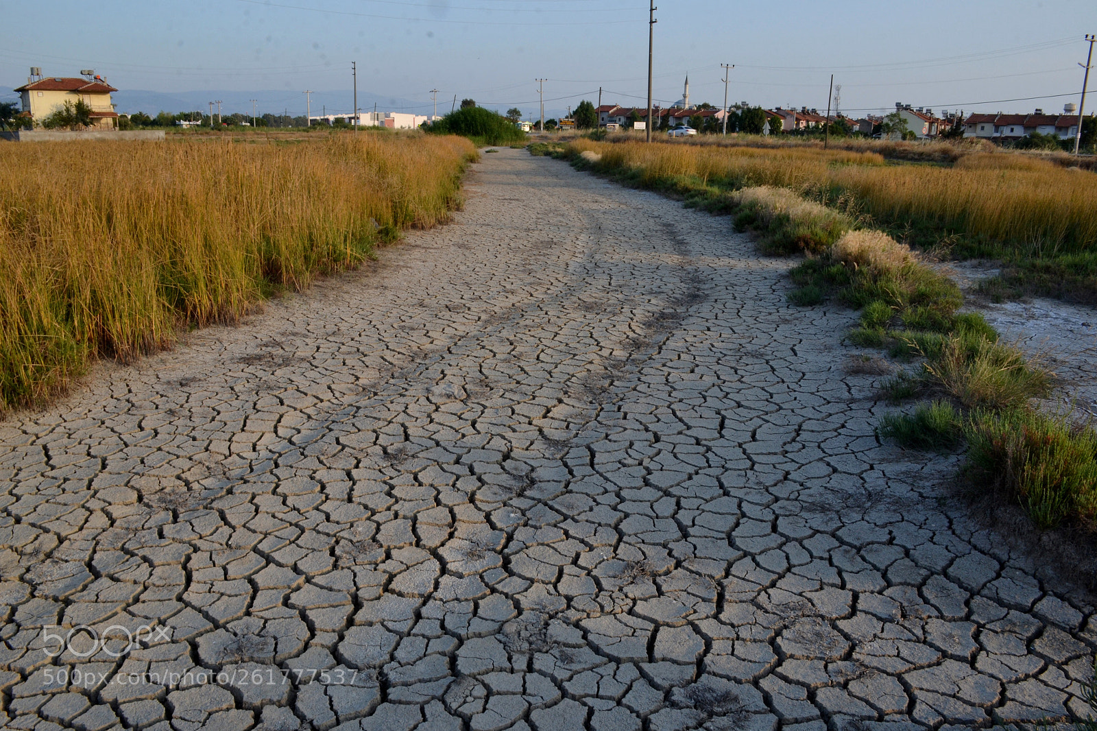 Nikon D3100 sample photo. Cracked road photography