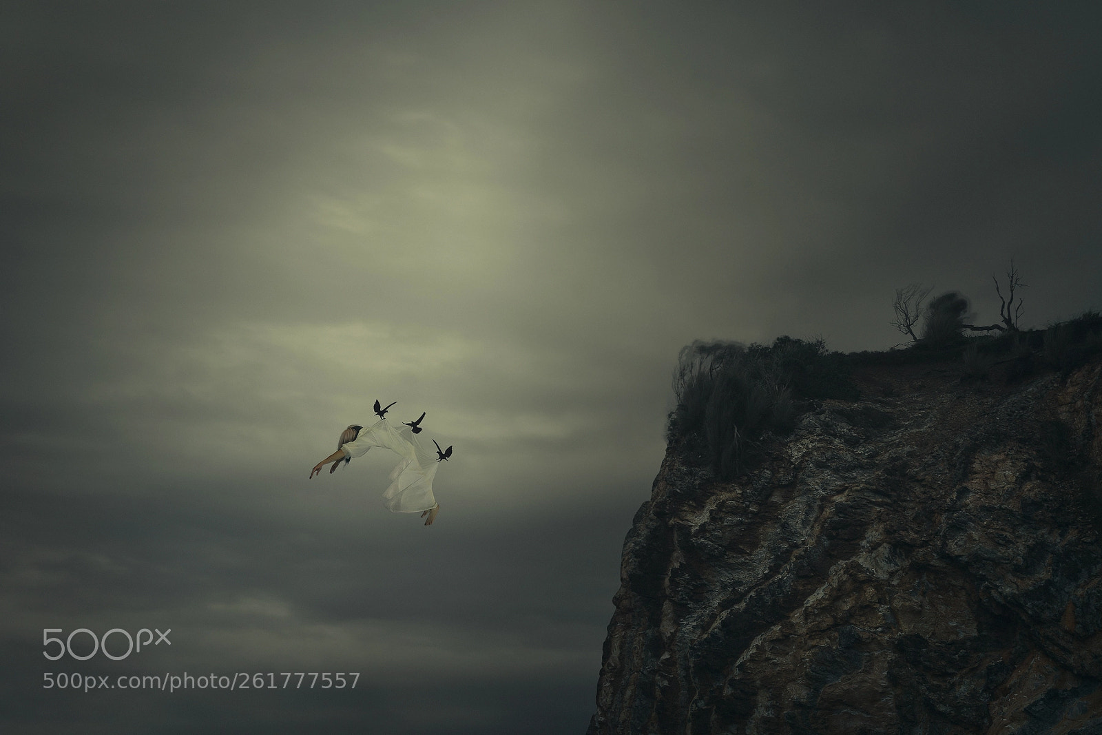 Sony a7R sample photo. Hope amidst despair photography