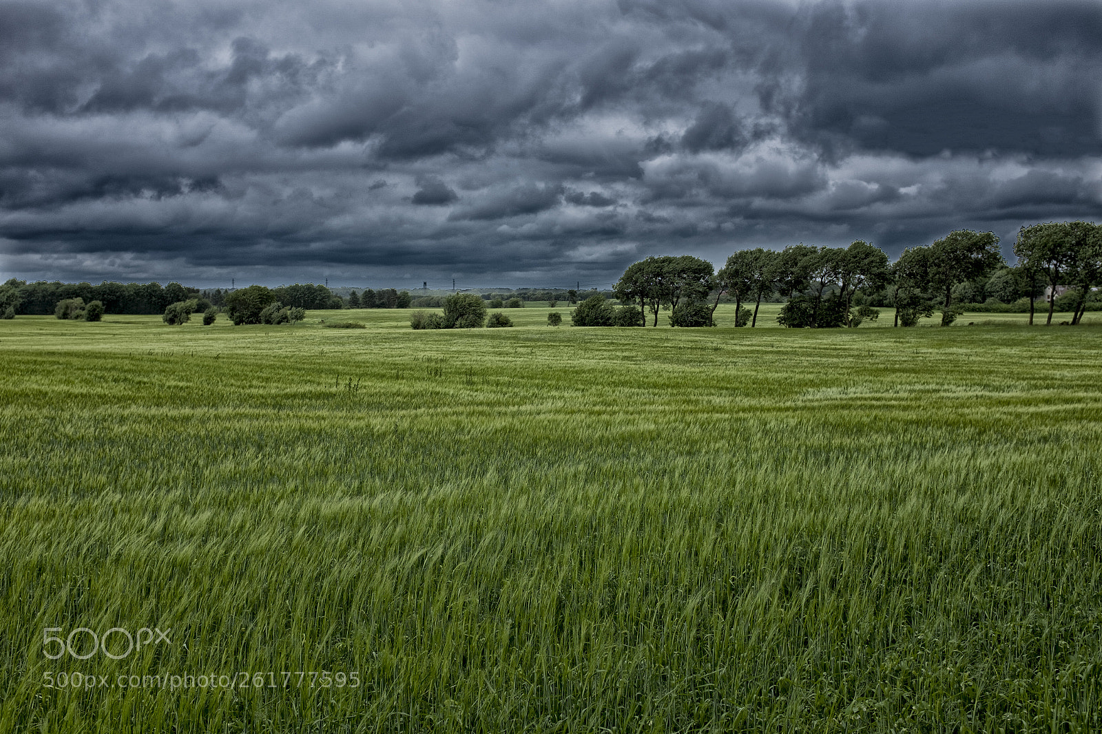 Fujifilm X100S sample photo. Clouds over cornfield photography