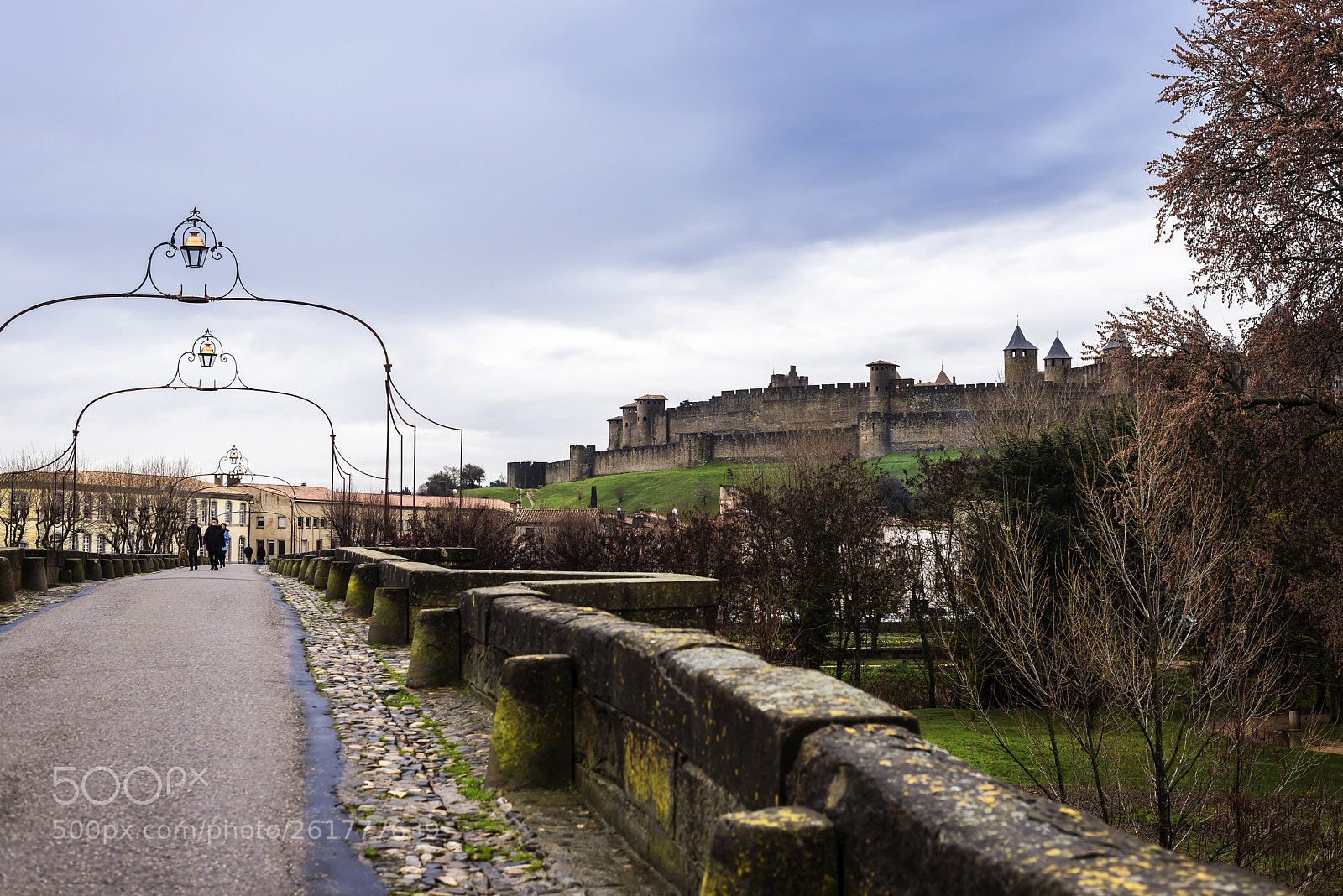 Nikon D610 sample photo. Carcassonne pont vieux -bridge photography