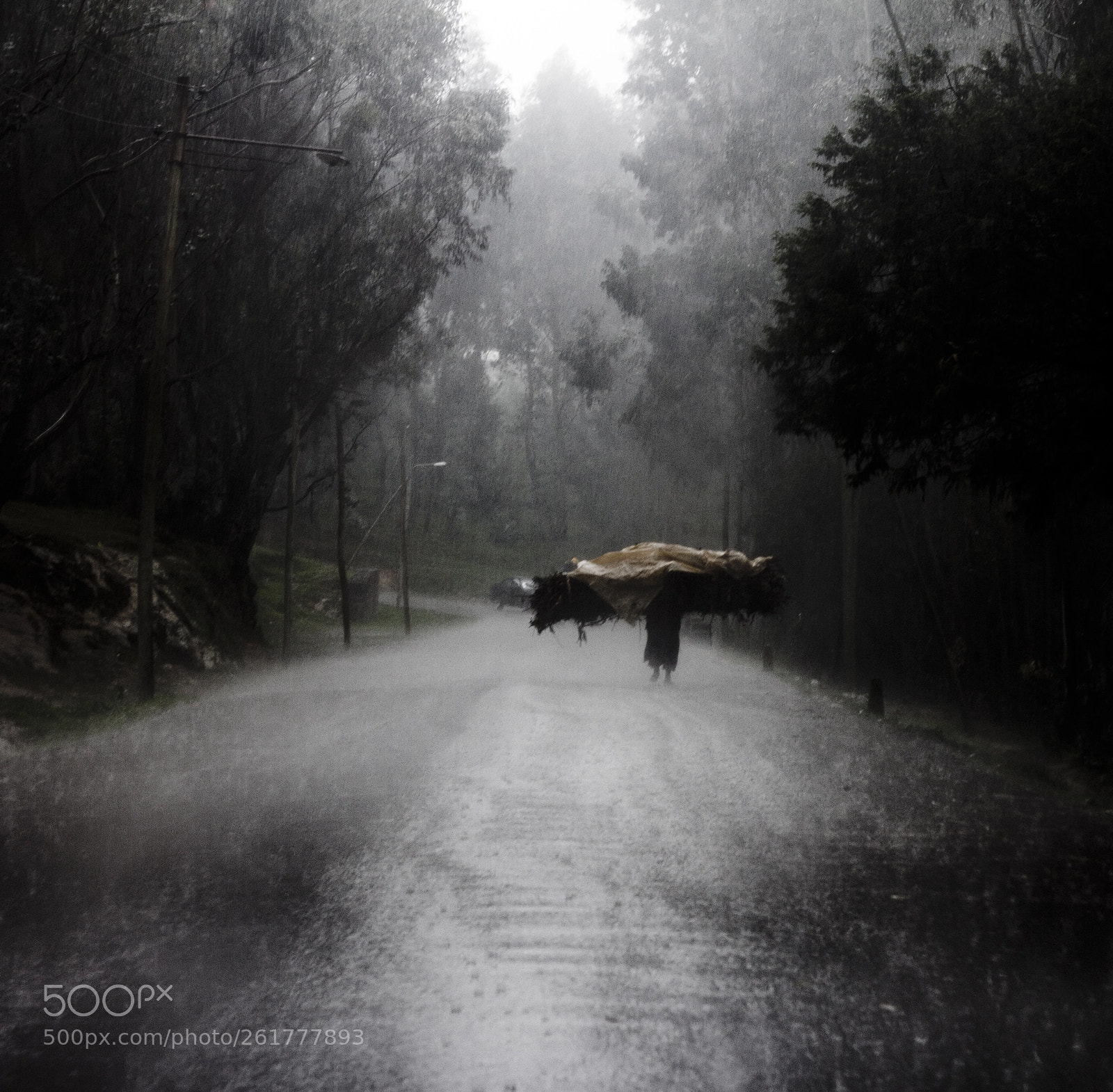 Canon EOS 7D sample photo. The ghosts of entoto photography