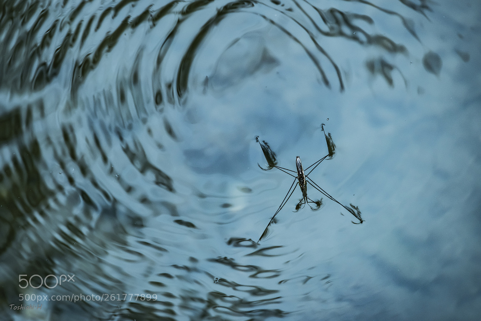 Nikon D810 sample photo. Ripple photography