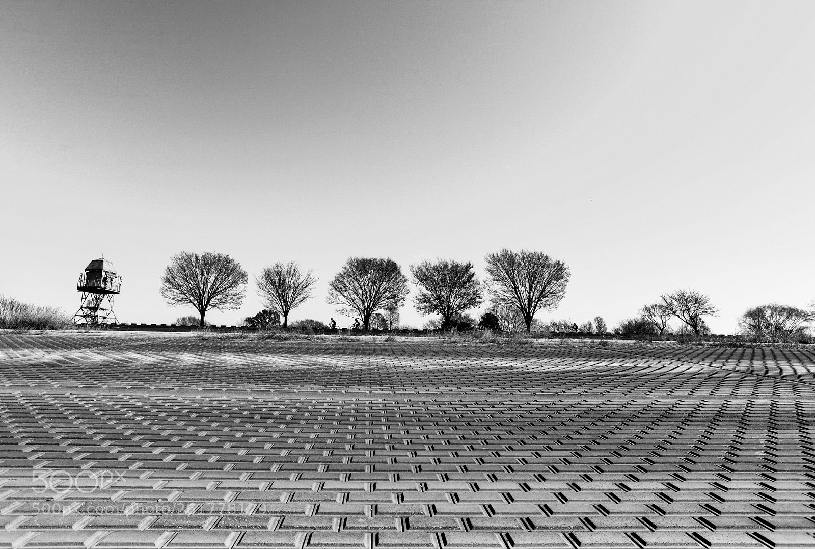 Nikon D600 sample photo. Cycling photography